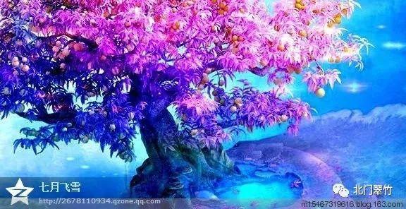 港股全线走强,网易-S领涨,低费率恒生科技ETF基金(513260)盘中大涨超3%